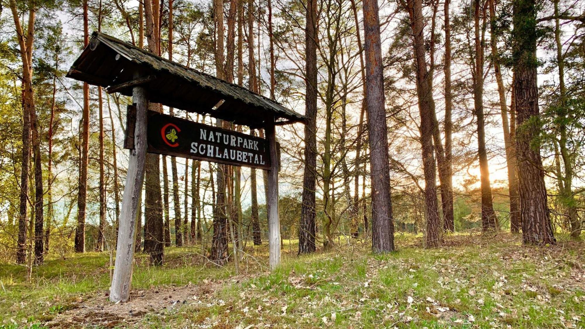 Naturnahe Gaestewohnung Im Heidelandhaus Henzendorf Neuzelle Exteriör bild